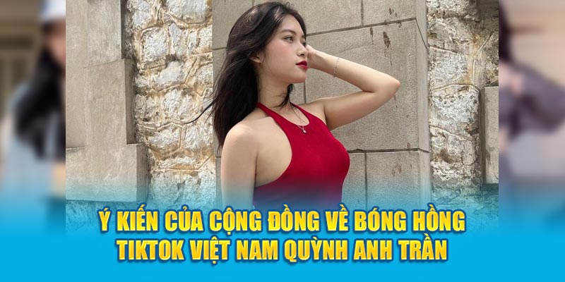 Ý kiến của cộng đồng về bóng hồng TikTok Việt Nam Quỳnh Anh Trần